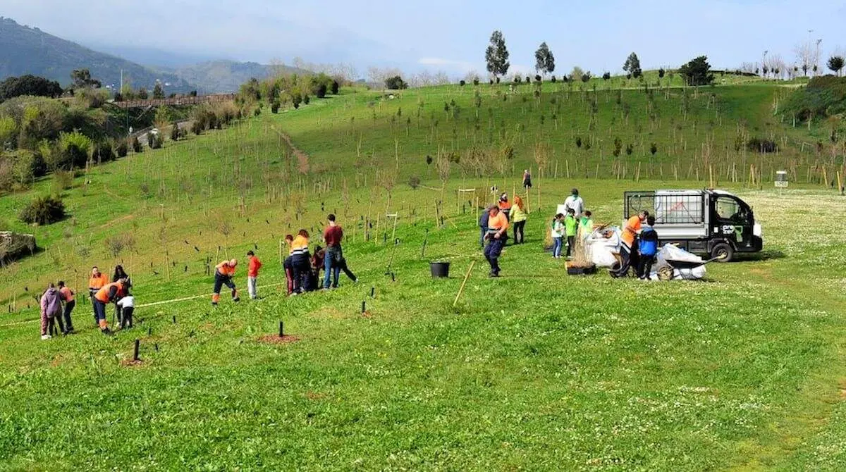 plantacion-robles-sestao