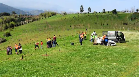 plantacion-robles-sestao