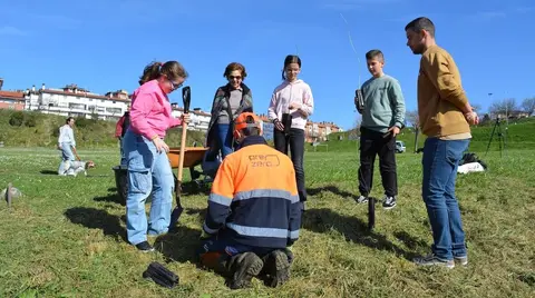 plantacion-robles-sestao